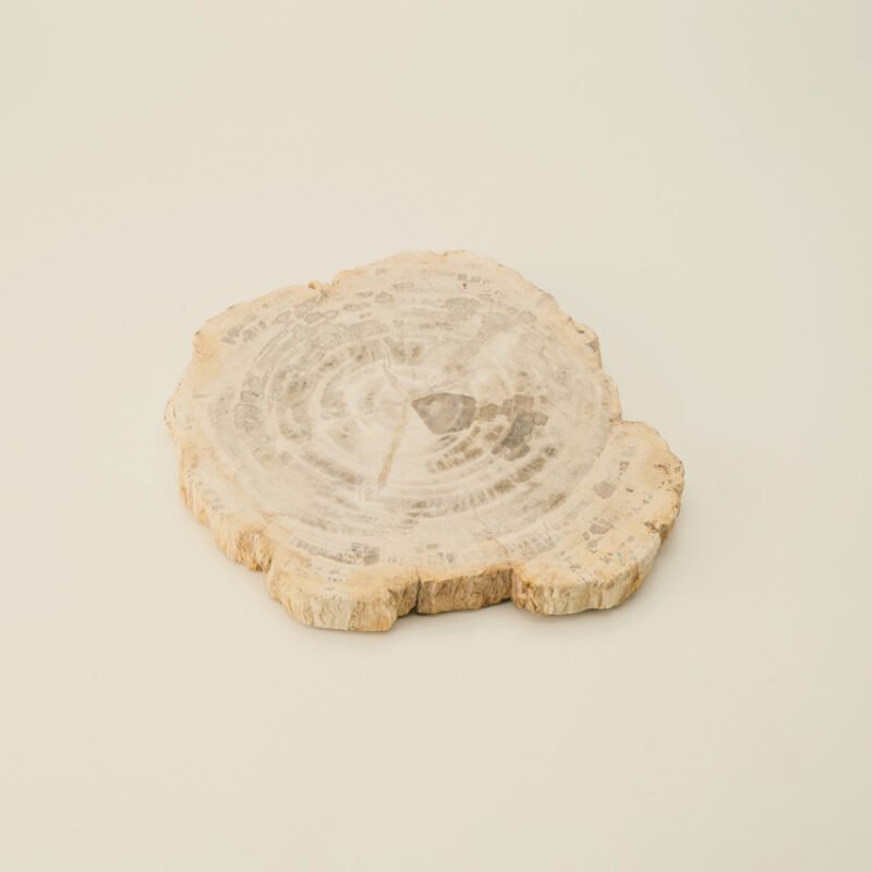 Cream petrified wood tray